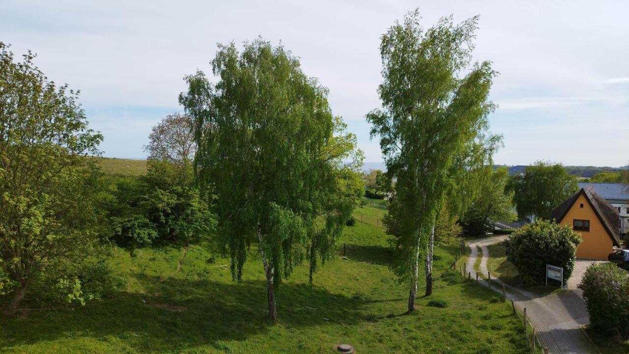 Traumblick Und Komfort - Lichtdurchflutete 85 Qm Wohnung Nahe Suedstrand Goehren Inklusive Schwimmbad Und Sauna Im Ahoi Sellin Eksteriør billede