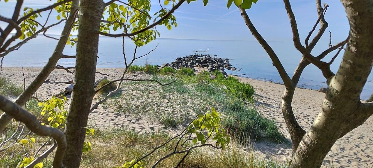 Traumblick Und Komfort - Lichtdurchflutete 85 Qm Wohnung Nahe Suedstrand Goehren Inklusive Schwimmbad Und Sauna Im Ahoi Sellin Eksteriør billede